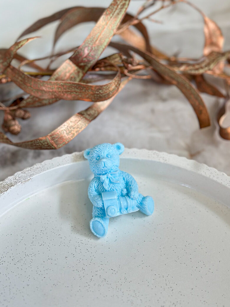 Padėkos dovanėlė MEŠKIUKAS SU TRAUKINUKU