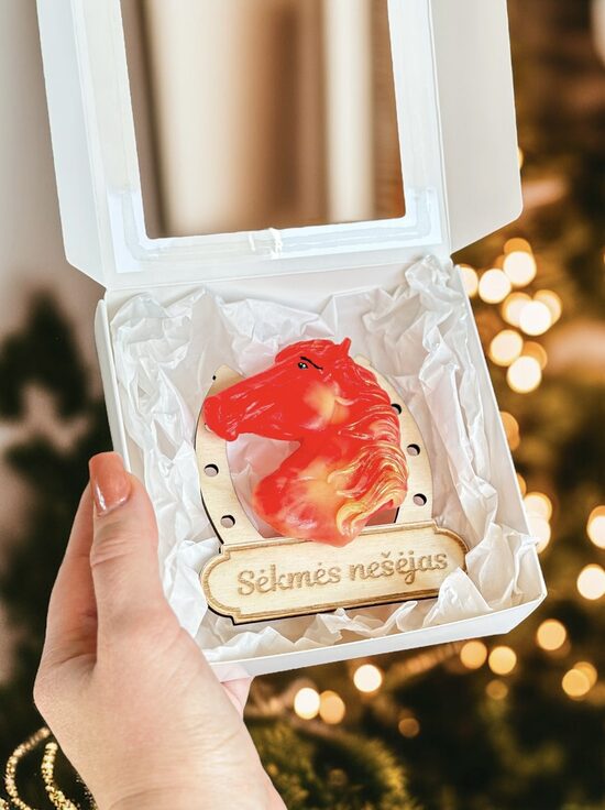 Rinkinys - magnetukas su muiliuku SĖKMĖS NEŠĖJAS