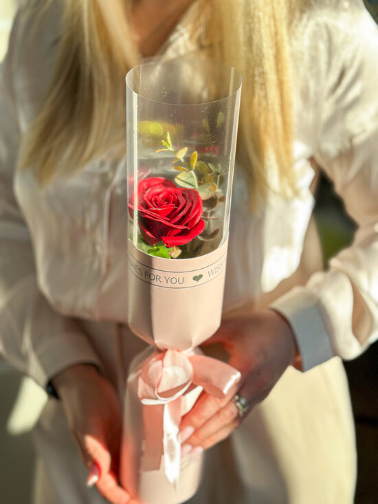 Muilo rožė RAUDONA